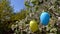 Happy easter. blossoming tree decorated with decorative Easter eggs. Religious holiday