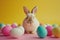 Happy easter bunny Eggs Sacrifice Basket. White decor Bunny slate. Easter background background wallpaper