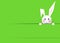 Happy Easter Bunny, green background and copy space for your text with white Easter rabbit