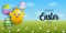 happy easter card. easter banner with funny eggs on spring landscape