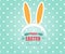 Happy Easter Card with Easter Bunny Rabbit Background