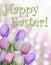 Happy Easter card text with pink purple and white tulips and abstract bokeh background