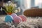 Happy easter carnations Eggs Eggcellent Bunny Basket. White salmon Bunny christianity. wit background wallpaper