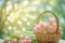 Happy easter charming Eggs Radiance Basket. White rose brilliance Bunny Blossoming. Cosmos background wallpaper