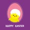 Happy Easter. Chicken bird with shell on head inside painted egg frame window. Dash line contour. Cute cartoon character. Baby gre