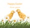 Happy Easter chickens card Vector. Chamomile field background