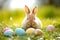 Happy easter chromaticity Eggs Growth Basket. Easter Bunny excited bunny. Hare on meadow with Buds easter background wallpaper