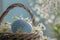 Happy easter chrysanthemum Eggs Ladybugs Basket. White optimistic Bunny cheery. Plants background wallpaper