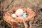 Happy Easter. Colorful Easters eggs in a nest with feathers.