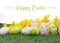 Happy Easter colorful pink and green Easter Eggs with yellow daffodils on green grass