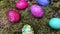 Happy easter - colourful easter eggs in green moss.