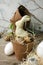 Happy Easter concept - Easter eggs and bunny rabbit in flower craft potty and fresh greenery branches on dark rustic wooden