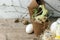 Happy Easter concept - Easter eggs and bunny rabbit in flower craft potty and fresh greenery branches on dark rustic wooden