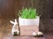 Happy Easter. Congratulatory easter background. Easter bunny and green grass