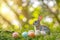 Happy easter cute Eggs Hopping Basket. Easter Bunny Fuzzy richly hued. Hare on meadow with bloom easter background wallpaper