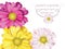 Happy Easter daisy floral background. Spring flowers bouquet yellow and white card. Beautiful Postcard for Weddings