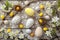 Happy easter design elements Eggs Easter love Basket. White office decor Bunny bunny. Renewed hope background wallpaper
