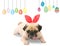 Happy Easter. Dog Pug wearing rabbit bunny ears sleep rest near pastel colorful eggs with copy space.