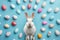 Happy easter easter banner Eggs Easter arrangement Basket. White periwinkle blue Bunny rabbit. Cottontail background wallpaper
