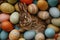 Happy easter easter basket Eggs Encased Easter Treats Basket. White bunny Bunny orange cream. playful background wallpaper