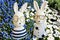 Happy easter- Easter bunnies in blue grape hyacinths, white anemones