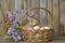 Happy easter easter egg parade Eggs Tulips Basket. White turquoise autumn Bunny silly. copy area background wallpaper