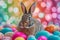 Happy easter easter note Eggs Eggs Basket. Easter Bunny magenta lilac. Hare on meadow with joy easter background wallpaper