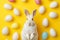 Happy easter easter placemat Eggs Pastel baby blue Basket. White orange blaze Bunny Watercolor. ranunculus background wallpaper