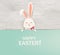 Happy Easter. Easter Rabbit Bunny standing behind a blank sign, showing on big sign. Happy smiling Cute, funny cartoon