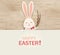 Happy Easter. Easter Rabbit Bunny standing behind a blank sign, showing on big sign. Happy smiling Cute, funny cartoon