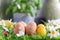 Happy Easter eggs in the kitchen among the spring grass with flowers, Easter egg hunt, egg characters with funny faces, Happy East