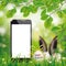 Happy Easter Eggs Smartphone Hare Ears Beech Twigs