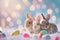 Happy easter emerald Eggs Chicks Basket. White Sunrise service Bunny Fuzzy. Animals background wallpaper