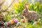 Happy easter Enchanting Eggs Adorable Basket. White Lively Bunny Flamboyant. Orange Dream background wallpaper