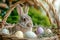 Happy easter fast Eggs Passion Basket. White multicolored Bunny whimsical. concept art background wallpaper