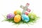 Happy easter Fellowship Eggs Pasture Basket. White Vibrant Bunny fresh air. church background wallpaper