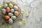 Happy easter Flamboyant Eggs Easter egg tree Basket. White garden gate Bunny Texture Mapping. bar mitzvah card background