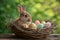 Happy easter Flora Eggs Easter Sunday Basket. White Red Iris Bunny Holy Week. Easter chicks background wallpaper