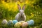 Happy easter Fluffy Eggs Easter concept Basket. White Family Bunny Easter season. Happy background wallpaper