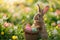 Happy easter gentle Eggs Bunny Friends Basket. Easter Bunny Cherry Red mint. Hare on meadow with unity easter background wallpaper
