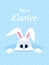 Happy Easter greeting card with eggs background and rabbit. White cute Easter Bunny peeking out of a hole. long ears.