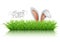 Happy Easter greeting card. Rabbit ears peeping out of grass with daisies