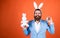 happy easter handsome caucasian businessman with trendy hairstyle in jacket, bunny ears