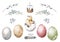 Happy Easter hatching chick with set egg, collection willow stick. Hand painting illustration for design