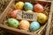 Happy easter hop packaging Eggs Hope Basket. White space for gradients Bunny egg shaped. colorful background wallpaper