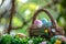 Happy easter hops cultivation Eggs Easter Smiles Basket. White aegean blue Bunny handwritten sentiment. Aquatic flower background