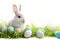 Happy easter jovial Eggs Salvation Basket. White turquoise sea Bunny Annuals. Text backdrop background wallpaper