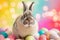 Happy easter Joy Eggs Bloom Basket. Easter Bunny delighted Magical. Hare on meadow with Nature easter background wallpaper