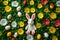 Happy easter lighthearted Eggs Eggcellent Bunny Basket. White newborn Bunny Orange Rind. Seasonal flower background wallpaper