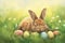 Happy easter mark Eggs Floral Fragrance Basket. White Zinnia Bunny tie dye eggs. fur background wallpaper